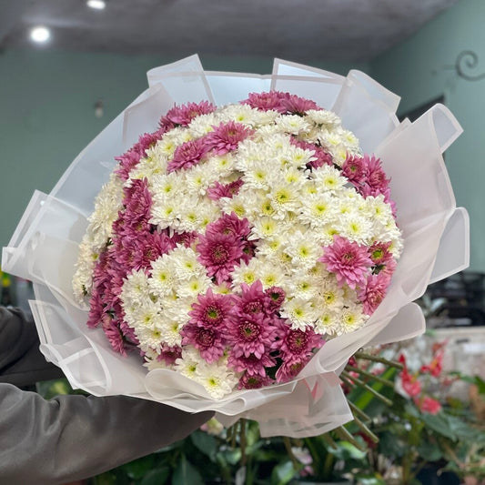 זר משולב חרציות לבנות וורודות