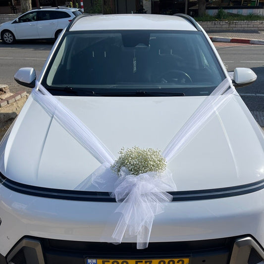קישוט לרכב חתונה עדין ומיוחד מגיבסניות